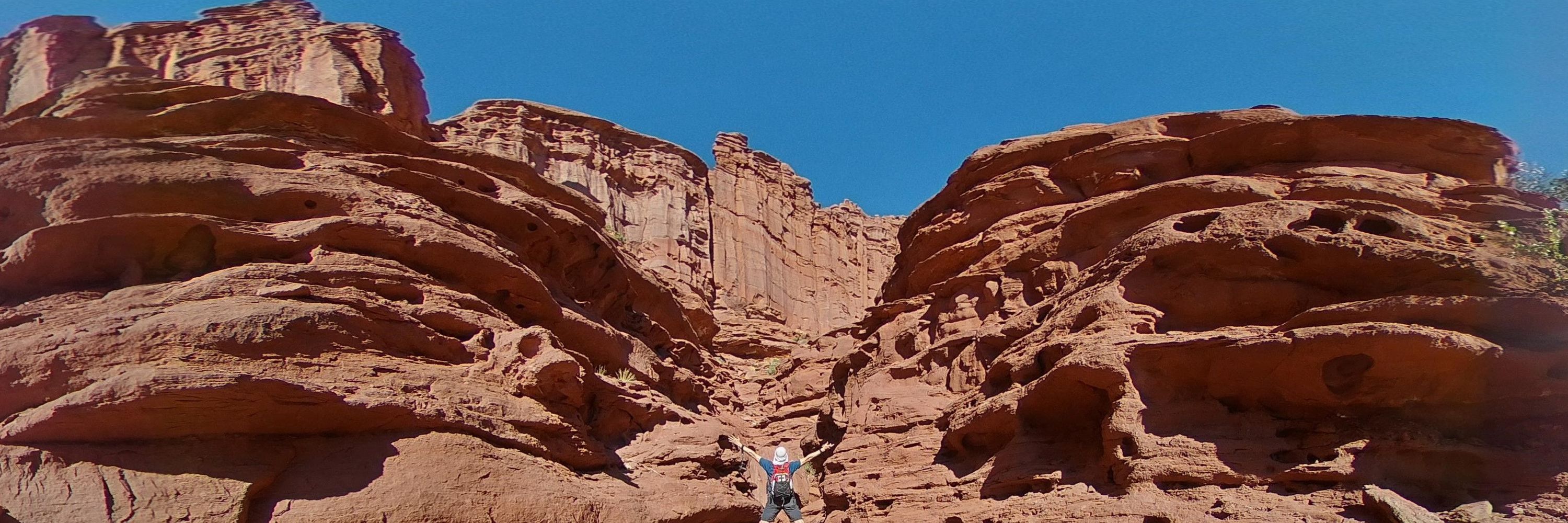 BJ Samuelson