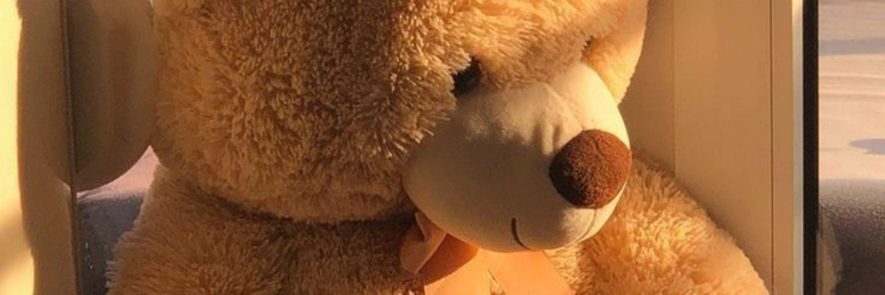 Vin'nyla Bearington 🐻