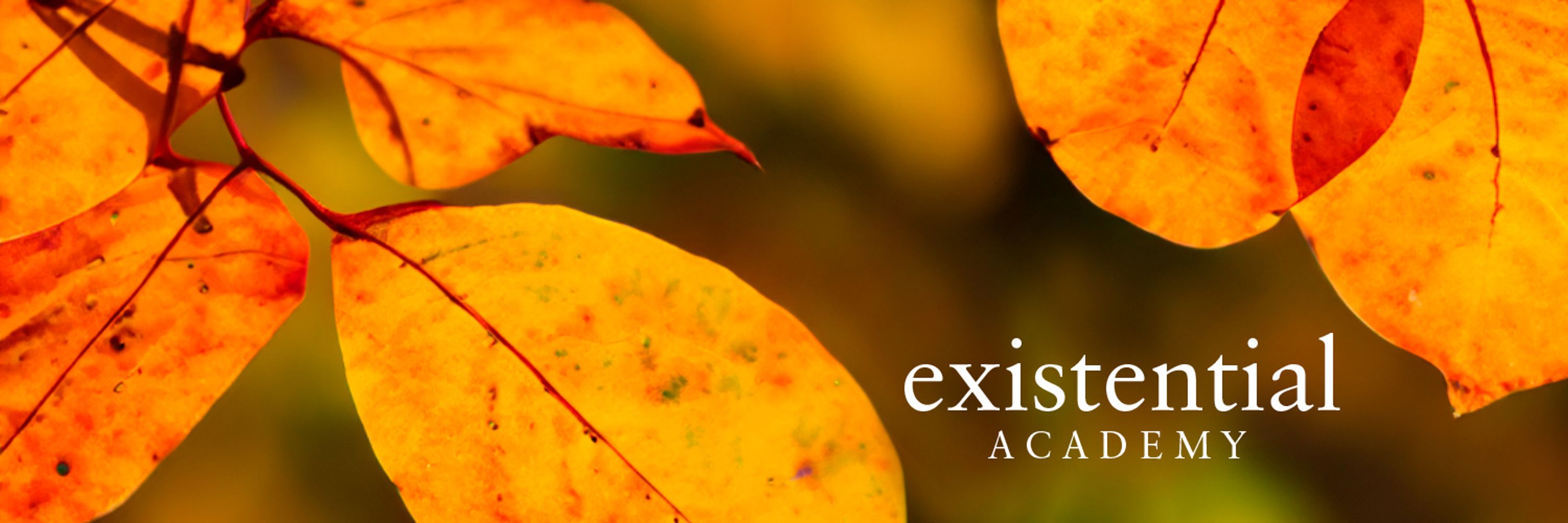 Existential Academy 
