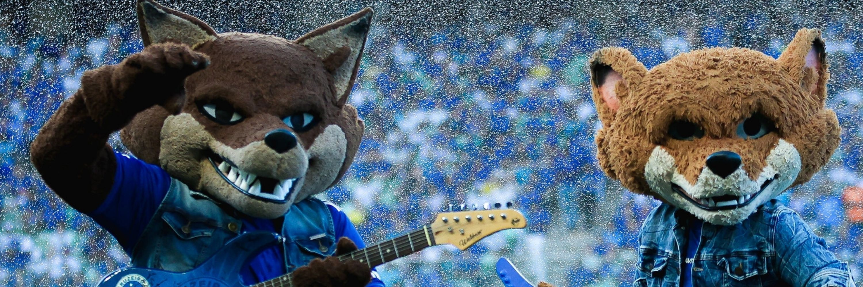 𝙻𝚒𝚊𝚖 - クルーズ 💙🦊