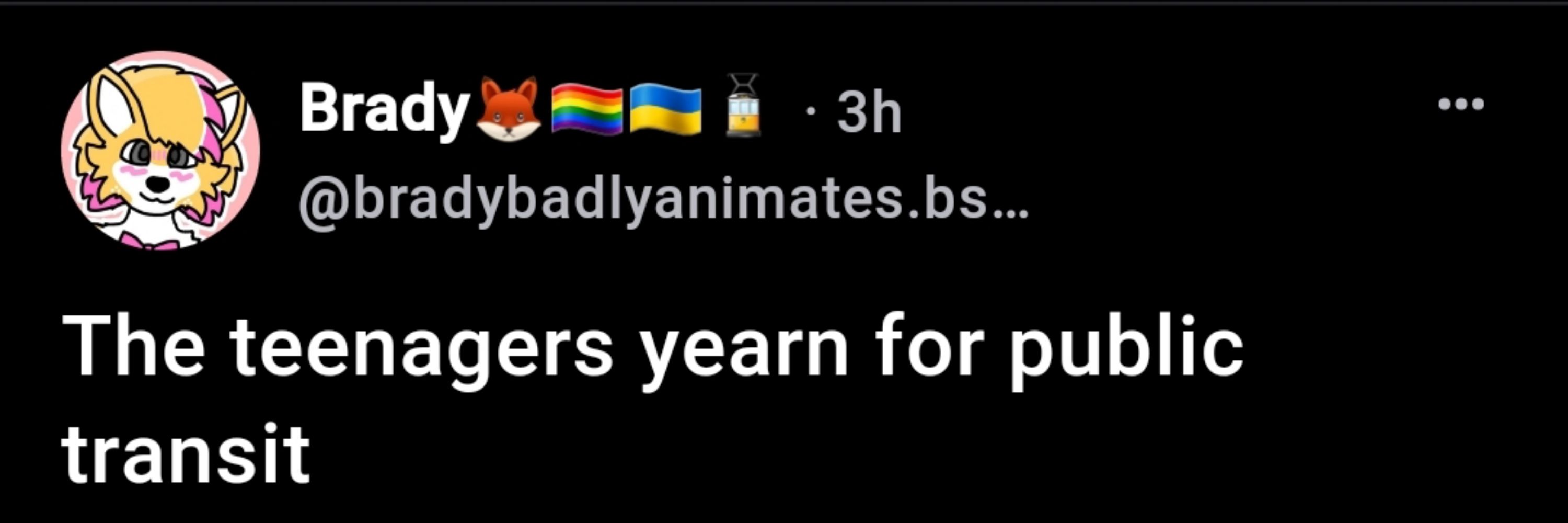 ✶✶🚋autistic transit enthusiast✶✶