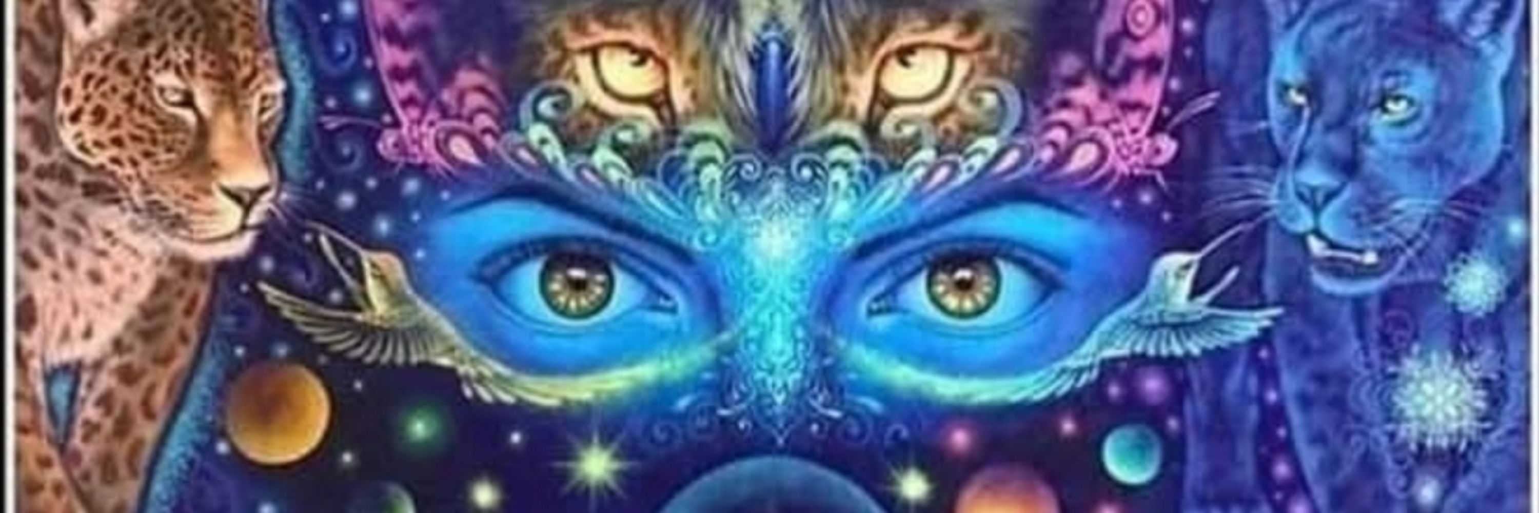 🧿🔮✨️🐾SAS