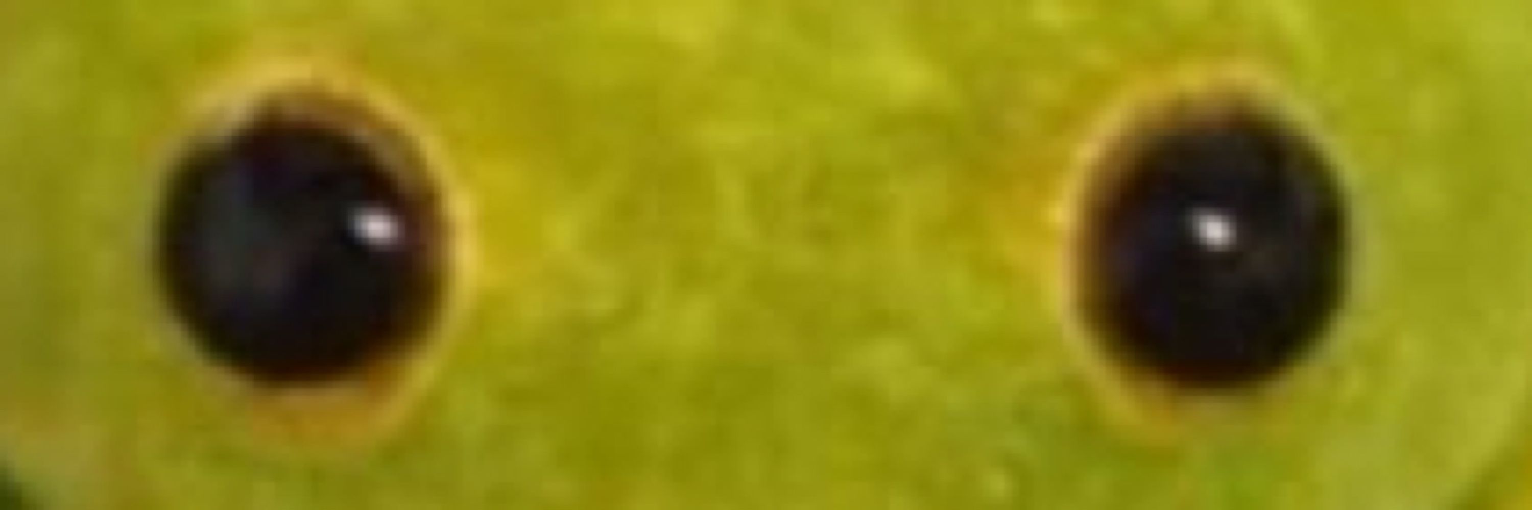 Des