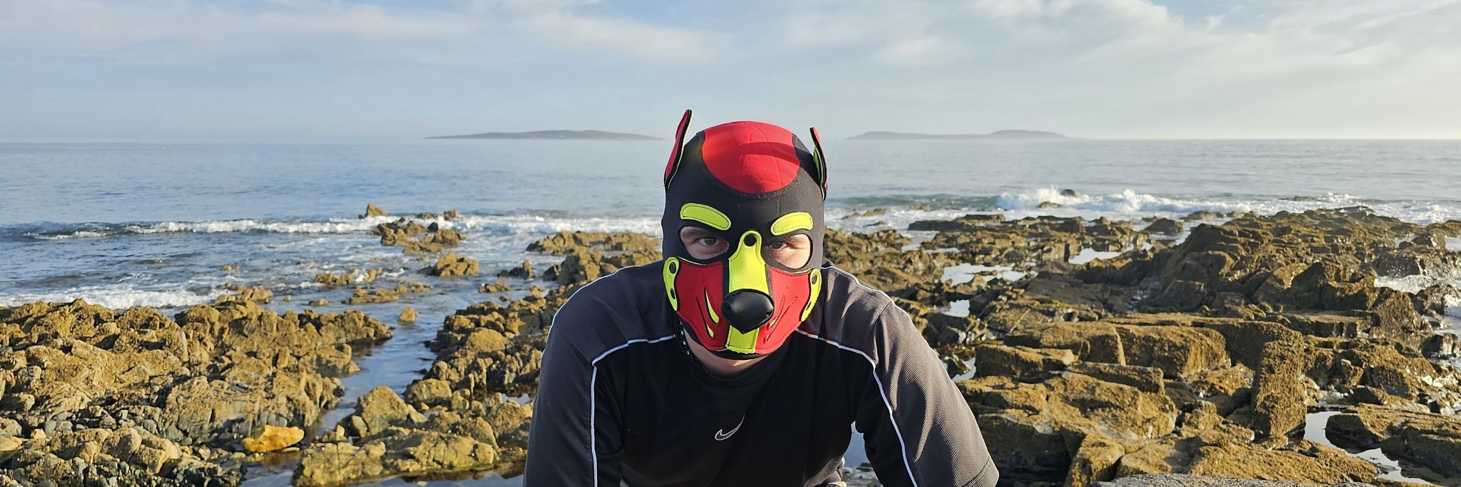 Pup Flash