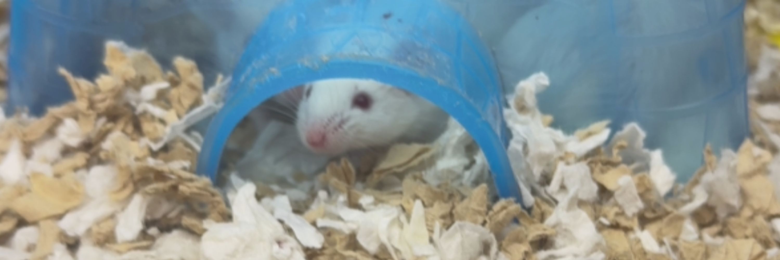 =