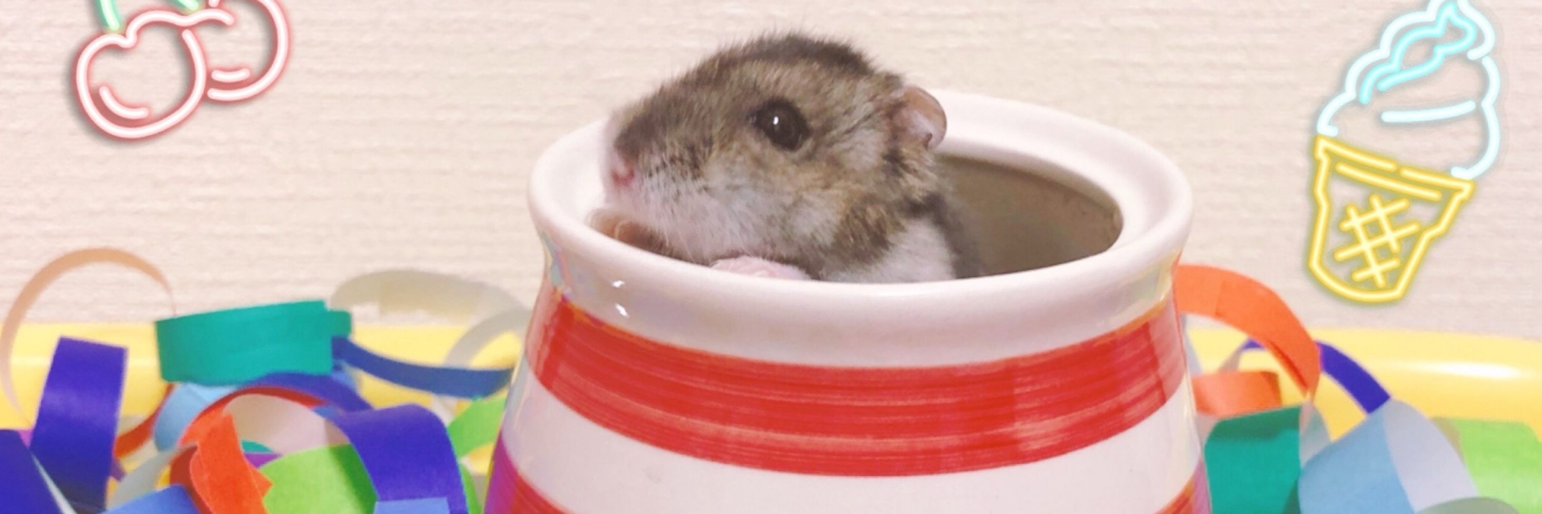 なーさん