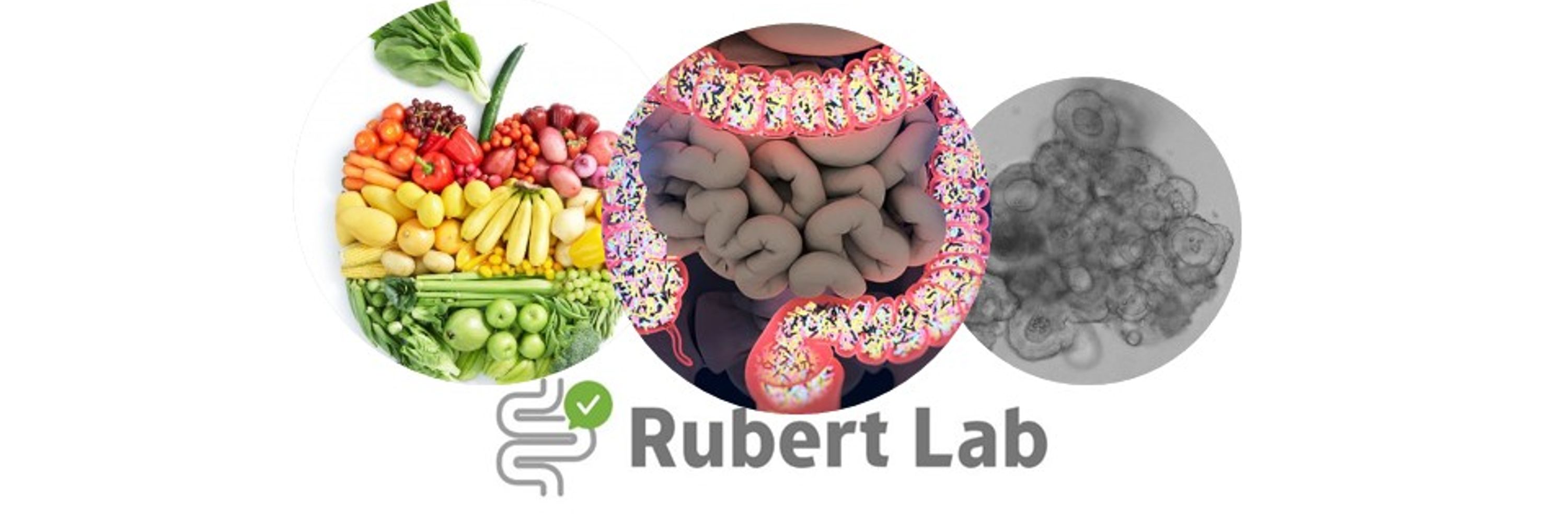 Josep Rubert