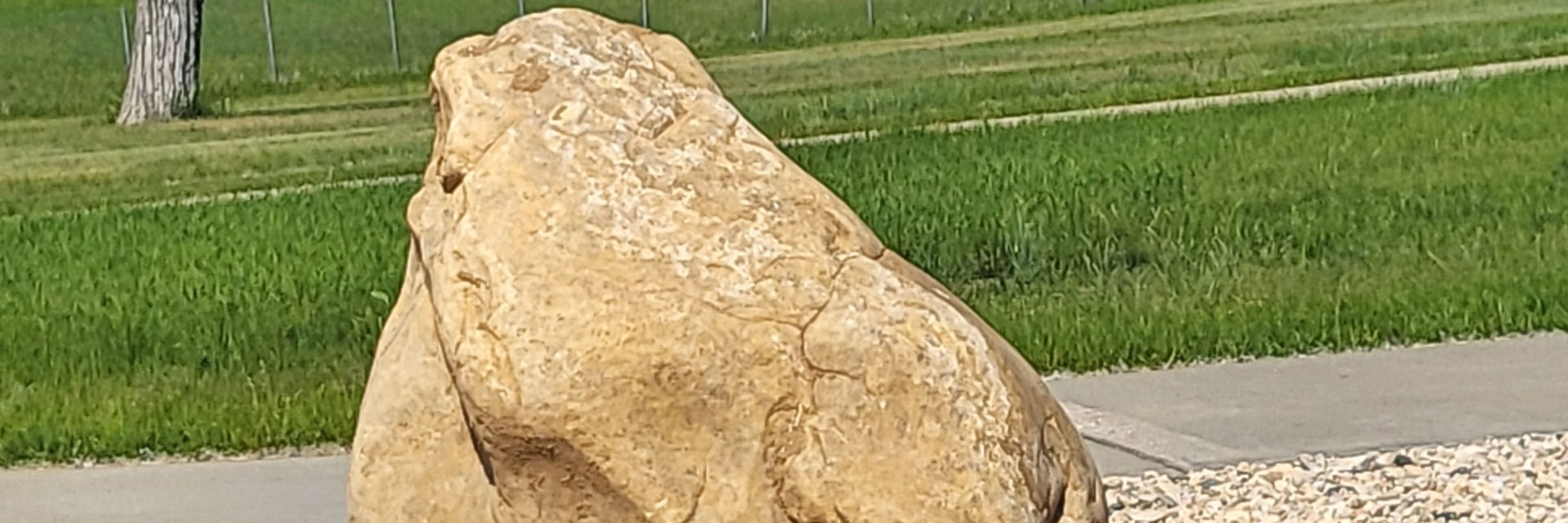 Tai