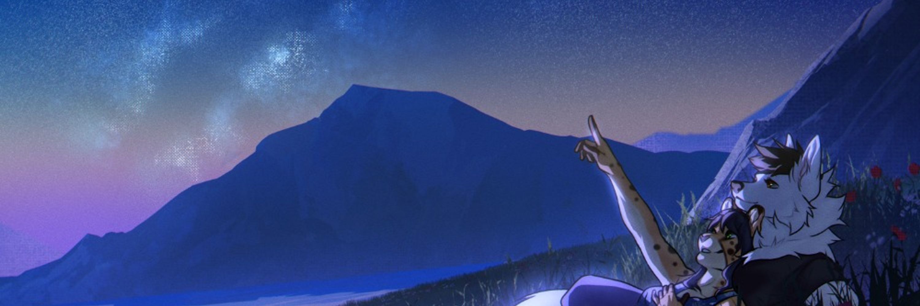 banner