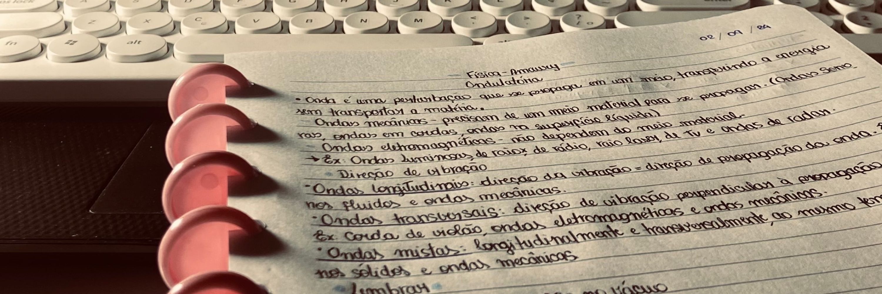 rita 📖