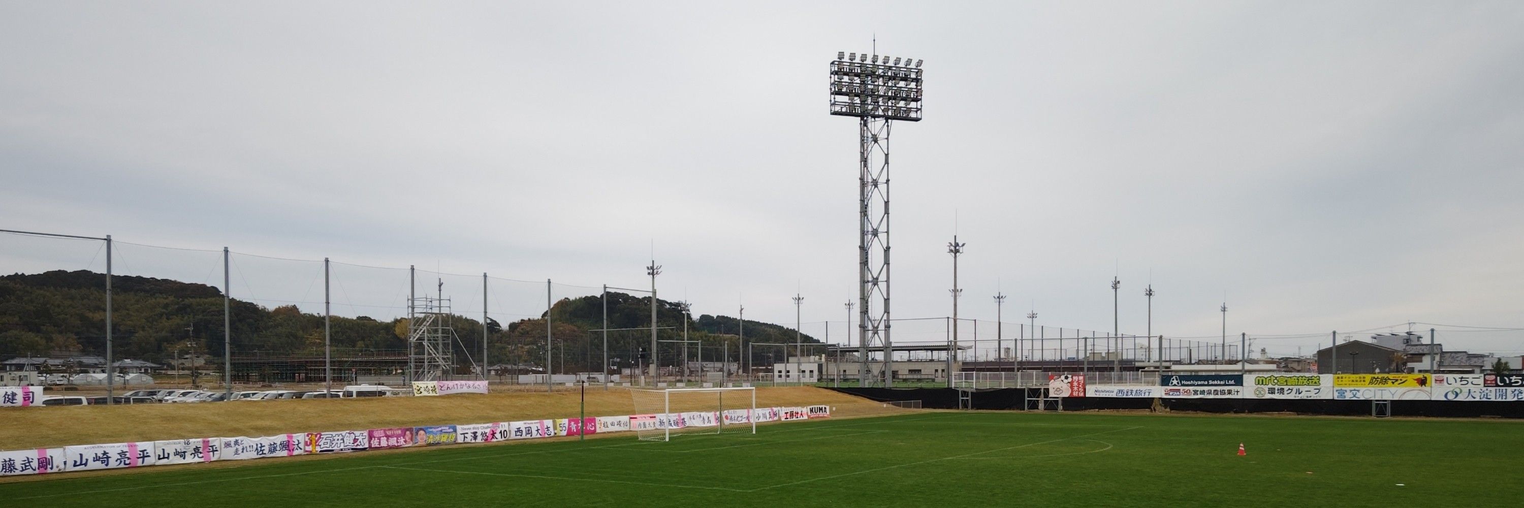 宮崎の蜂サポ