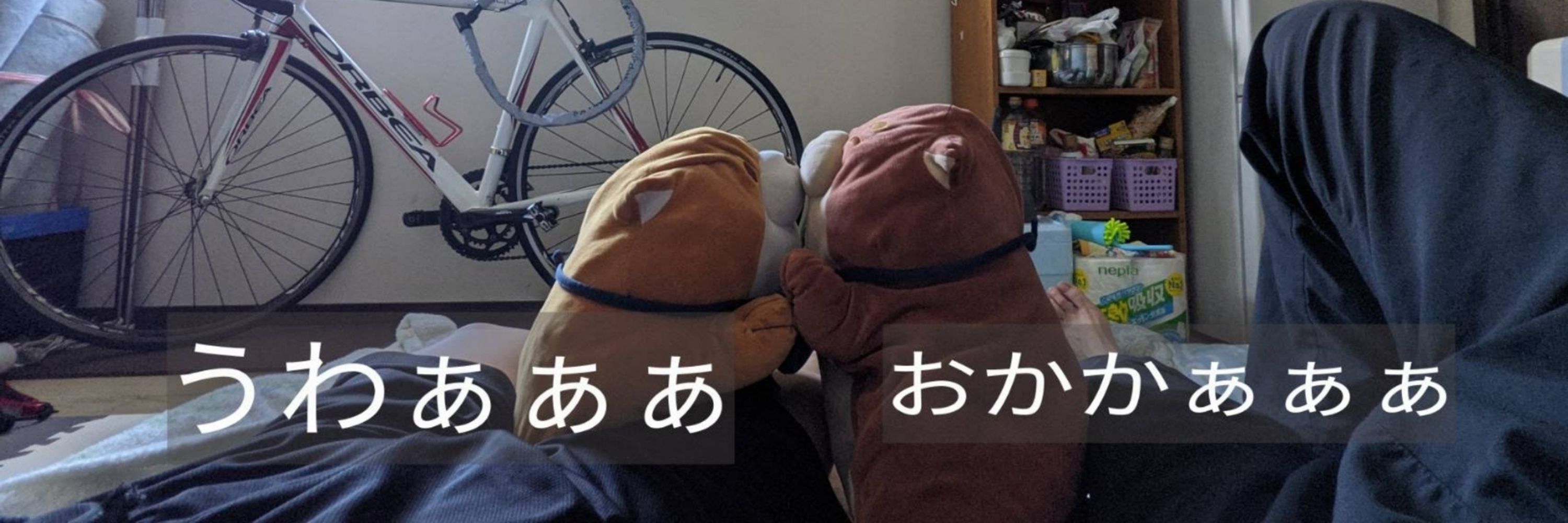 禊@バス垢