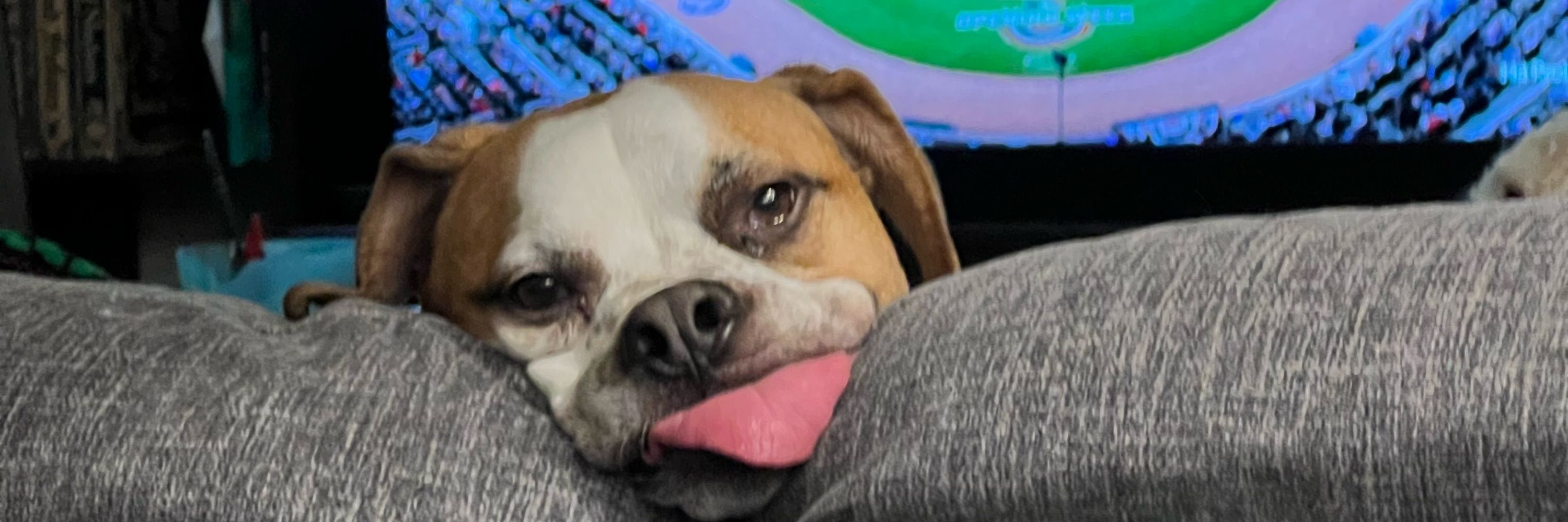 Brendon