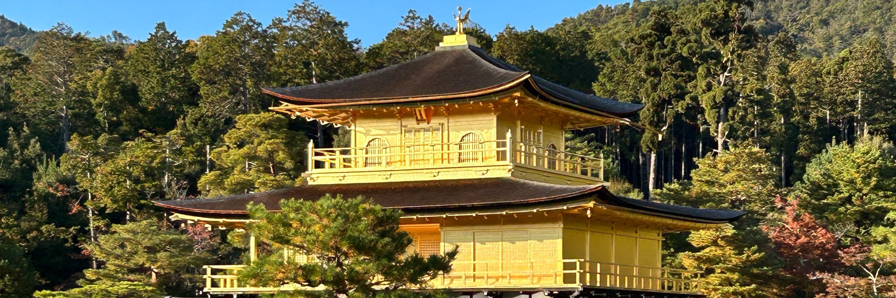 ぺたじーに