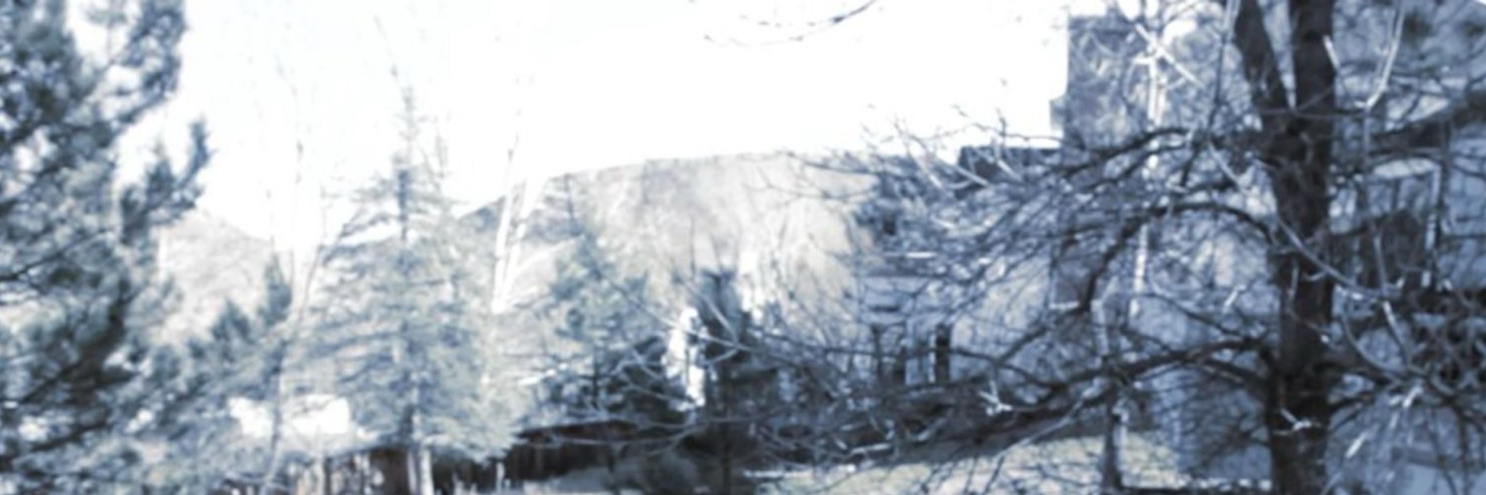 icedcaveog