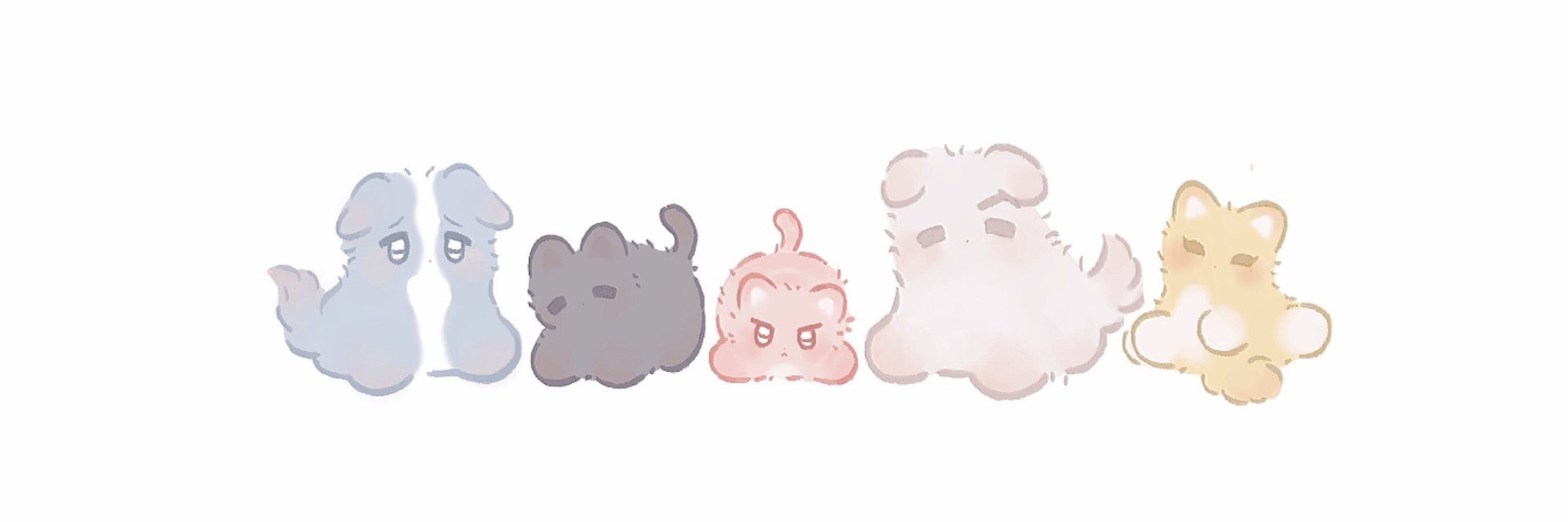 짜몽