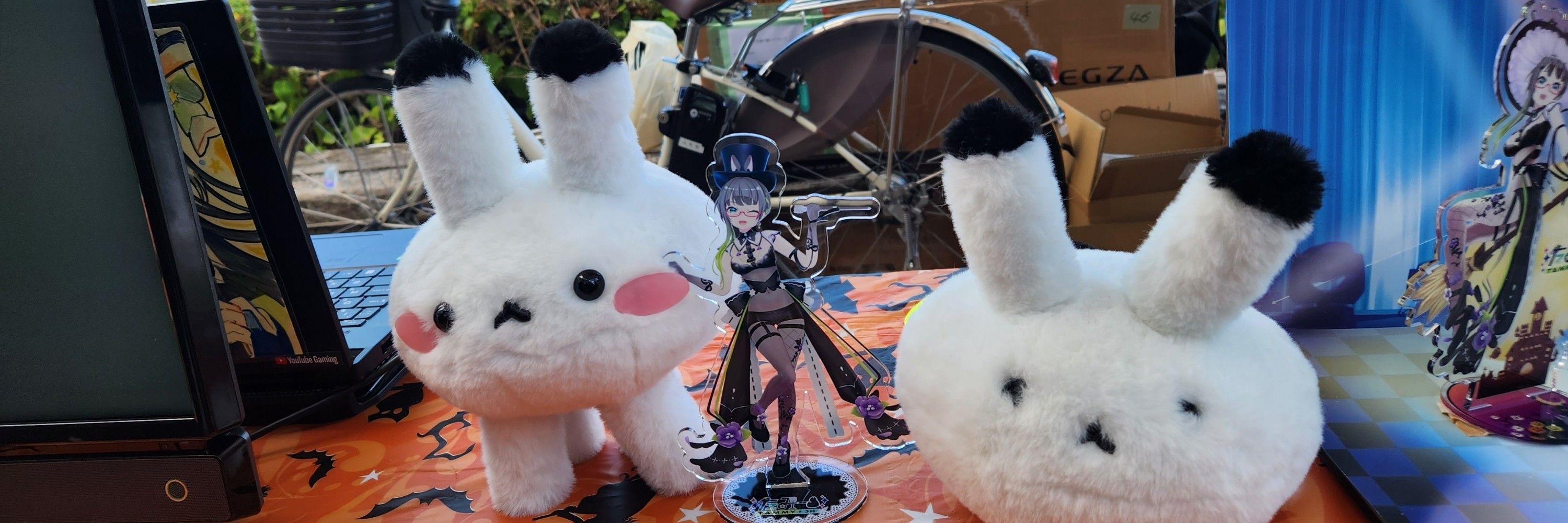 鈴藍🐰🌙