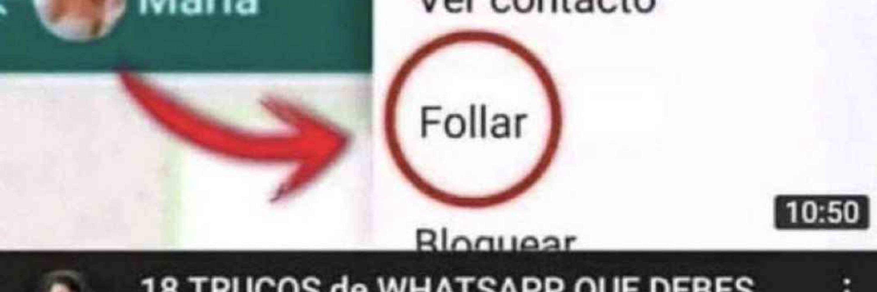 Ferxs