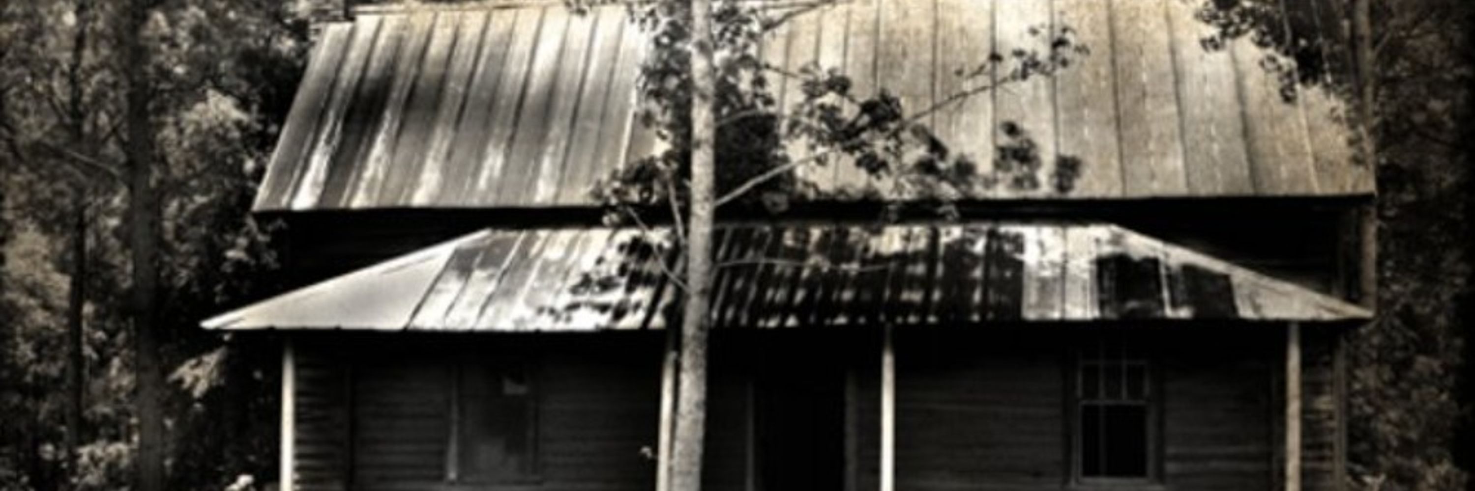 The Swamp Wytch