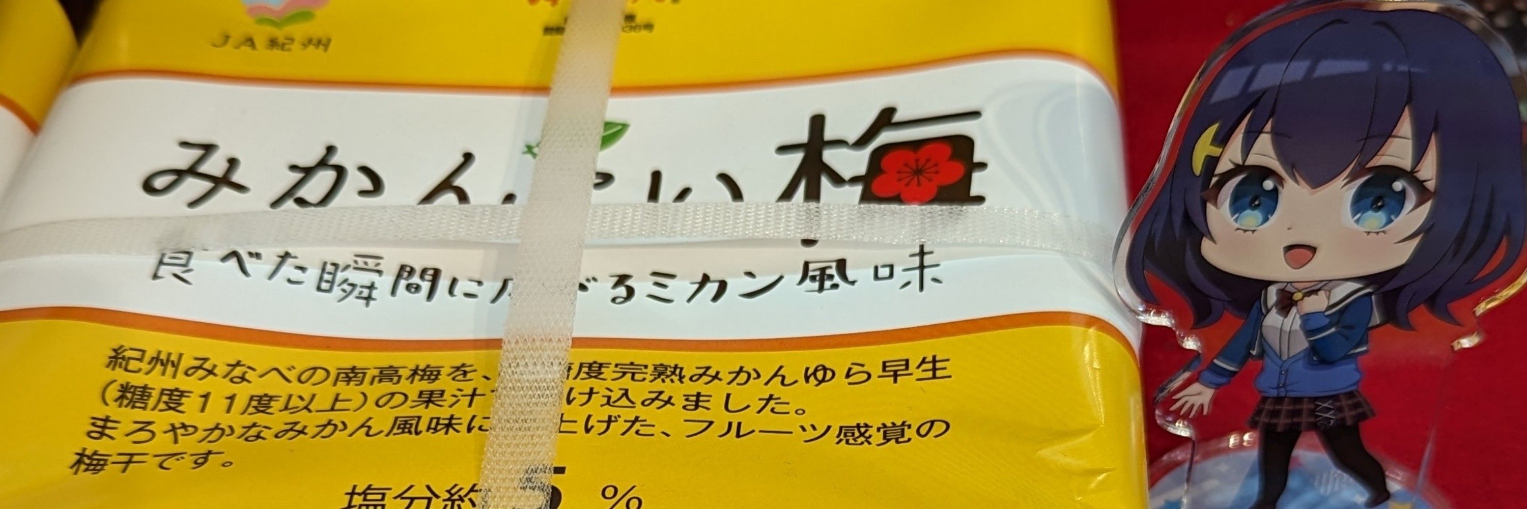 鉄道王国　青空支線