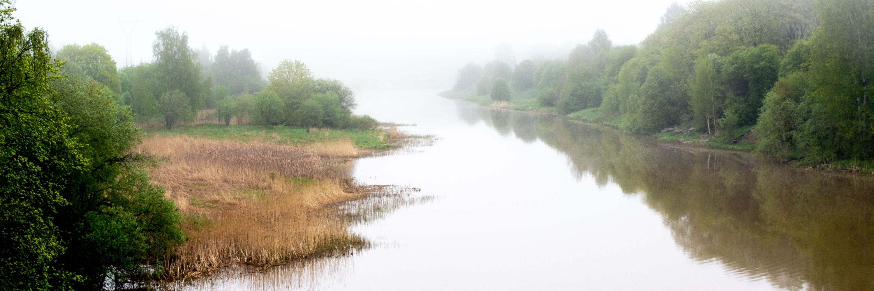 Thijs Feuth