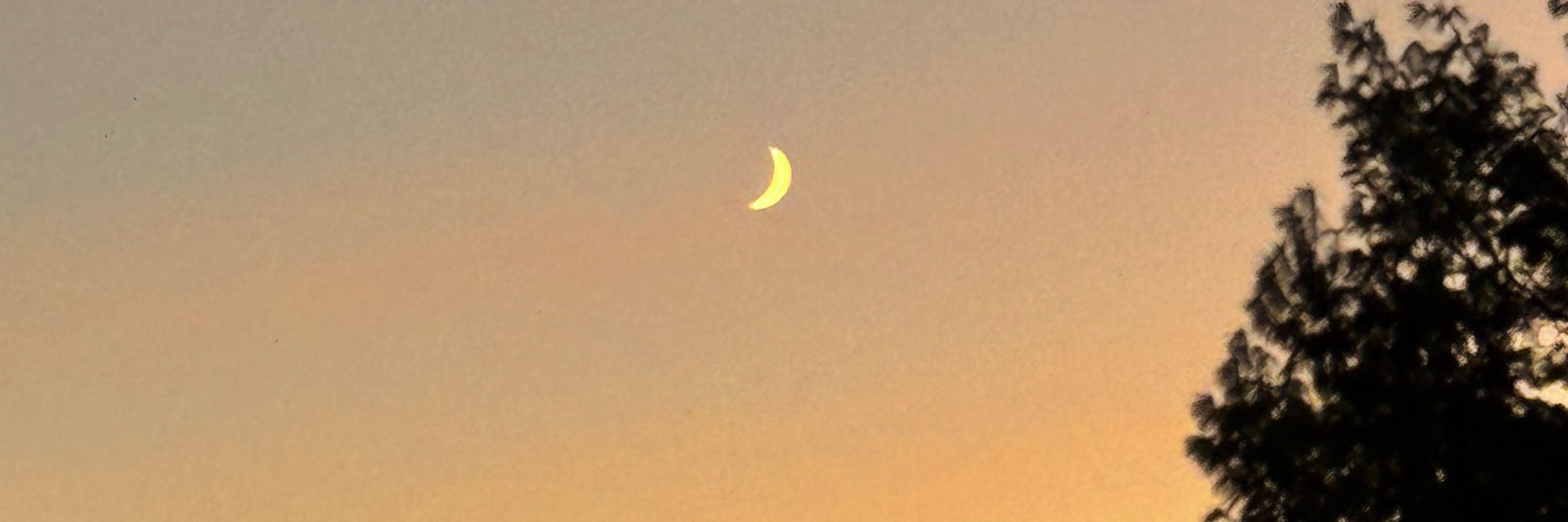 Moonsoulchild