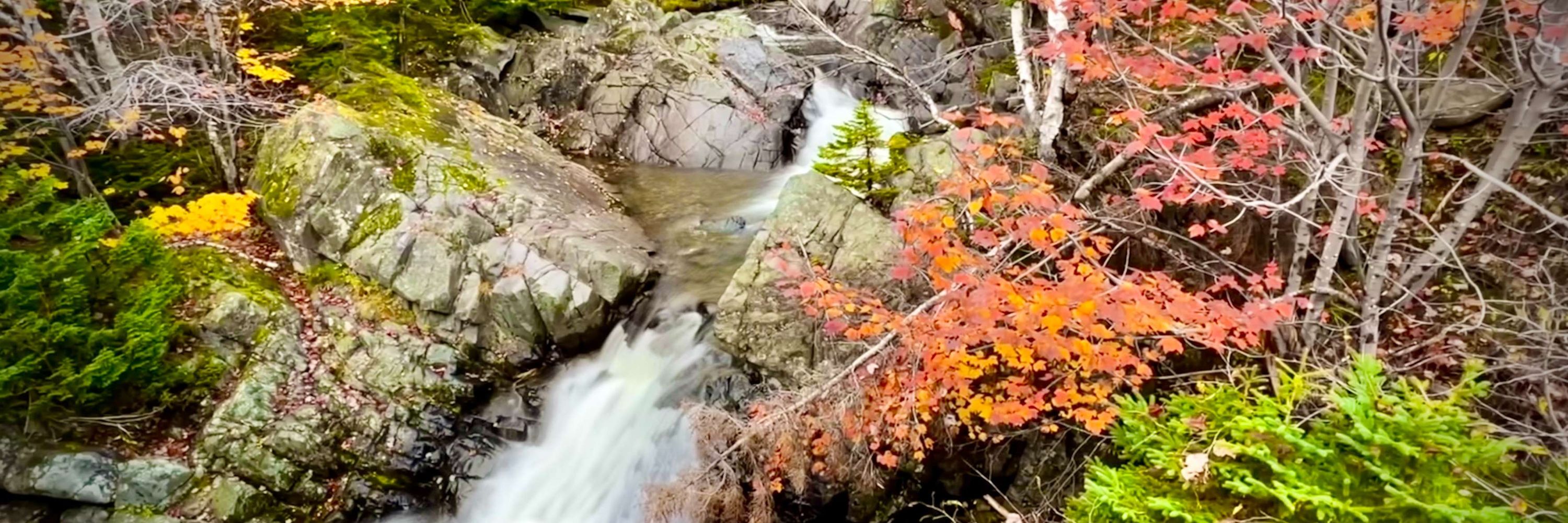 Discovering Cape Breton Island. Retired wedding photographer.