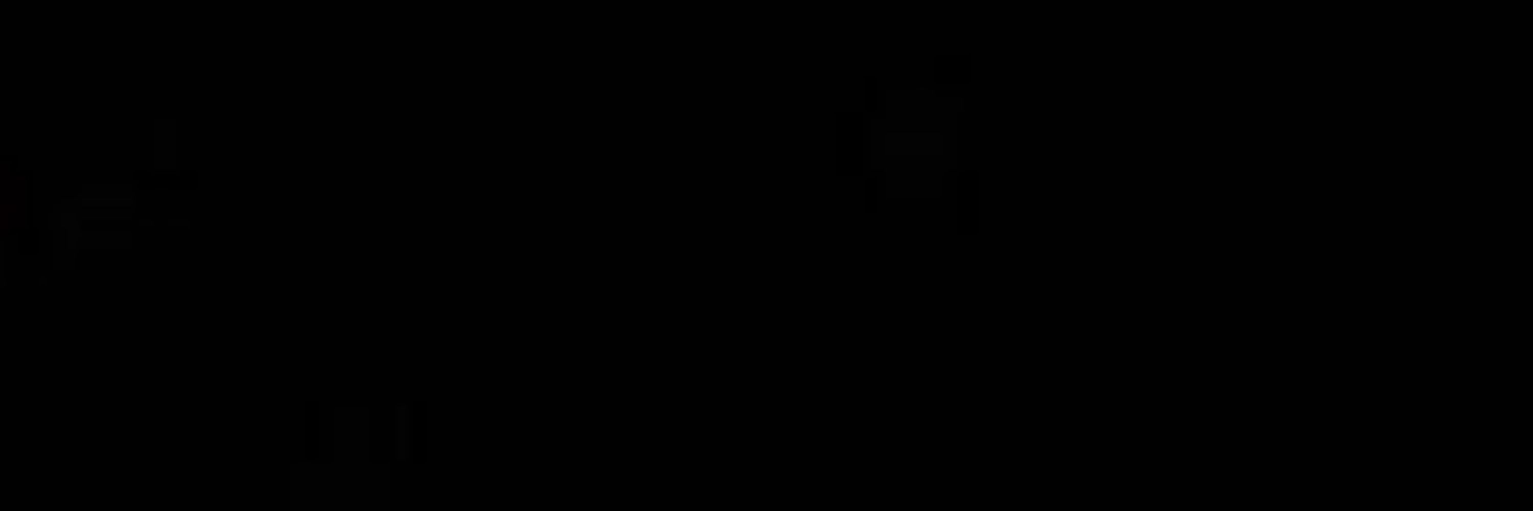victor