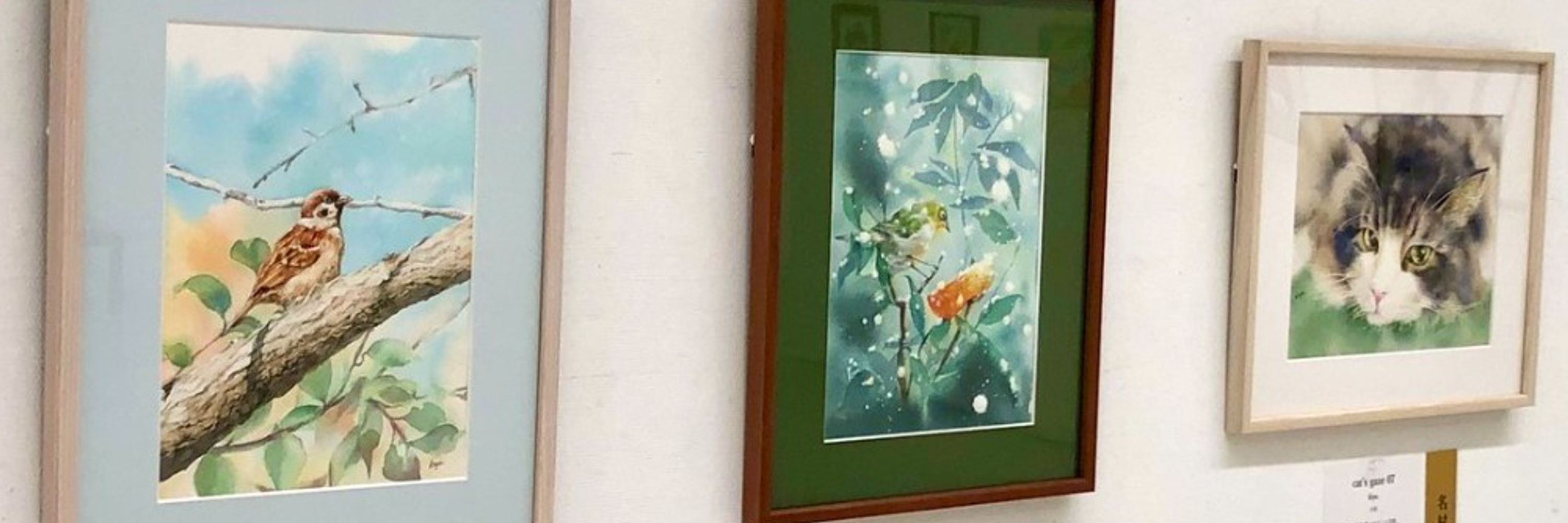 kiyo.