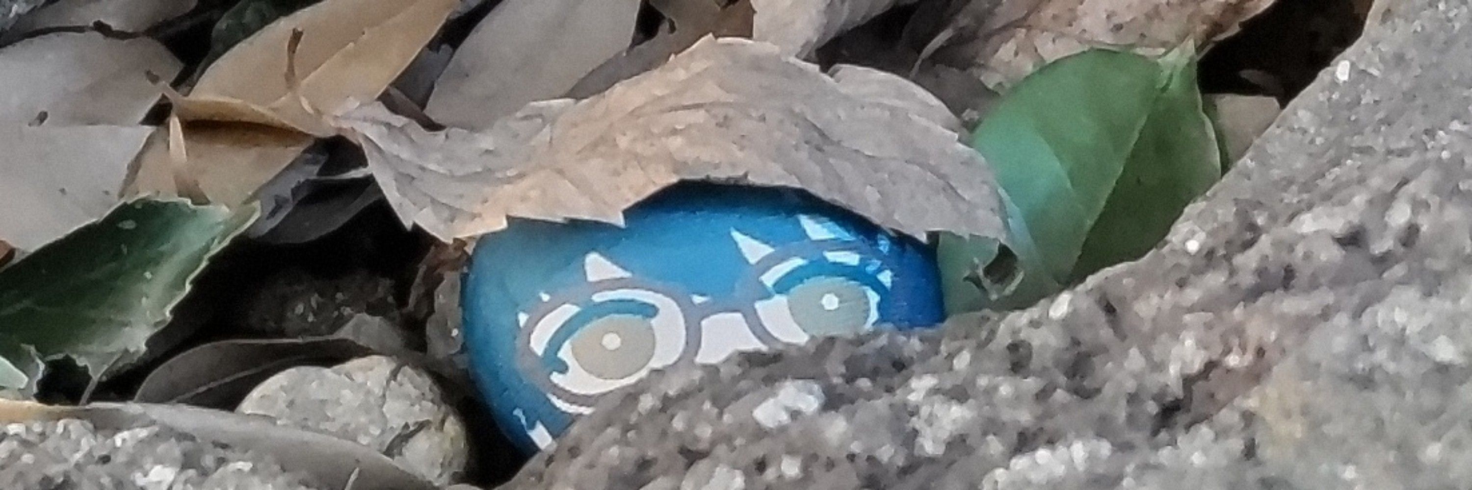 おすし