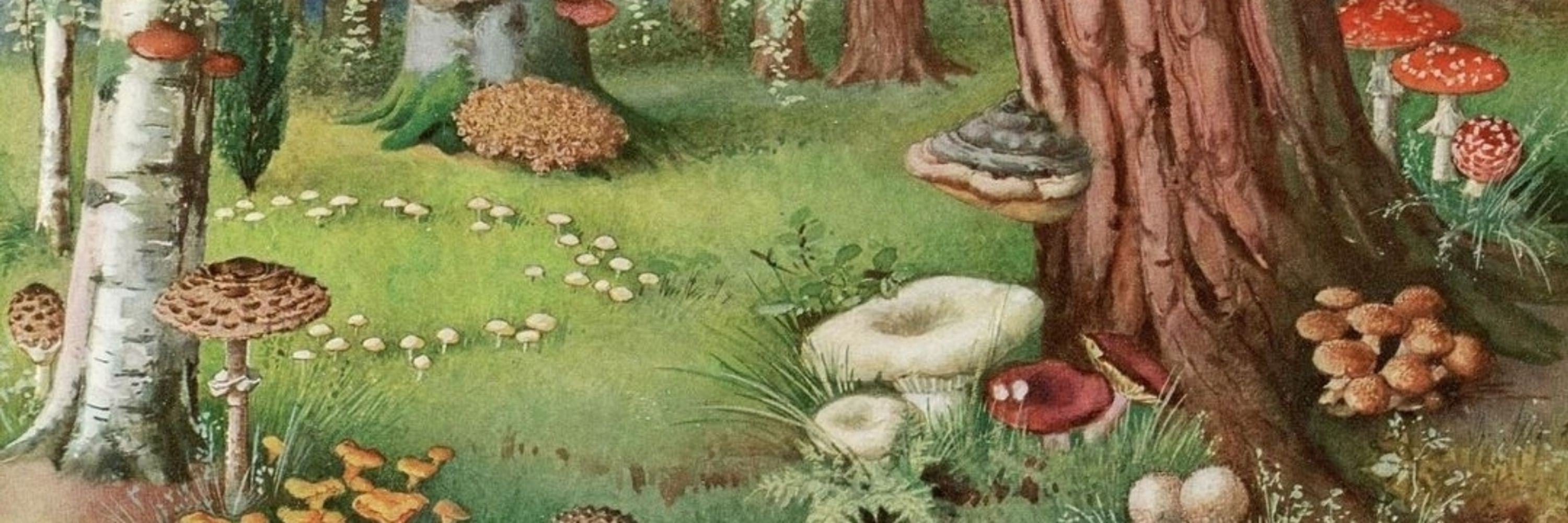 Erandi