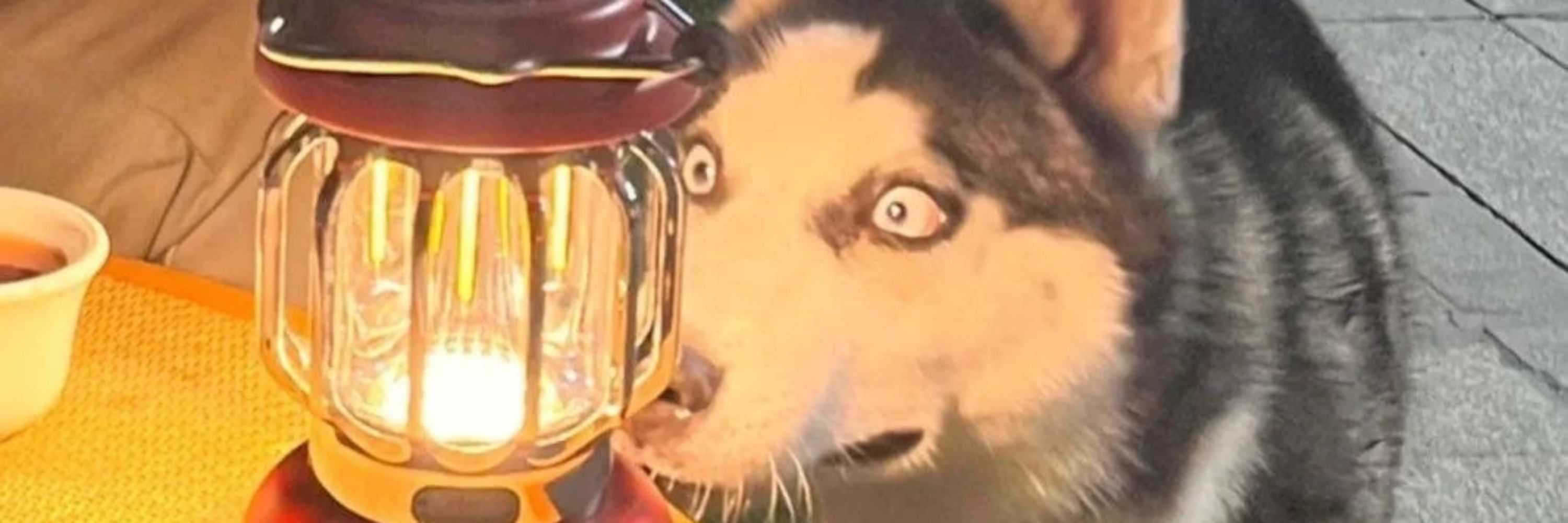 Zynko