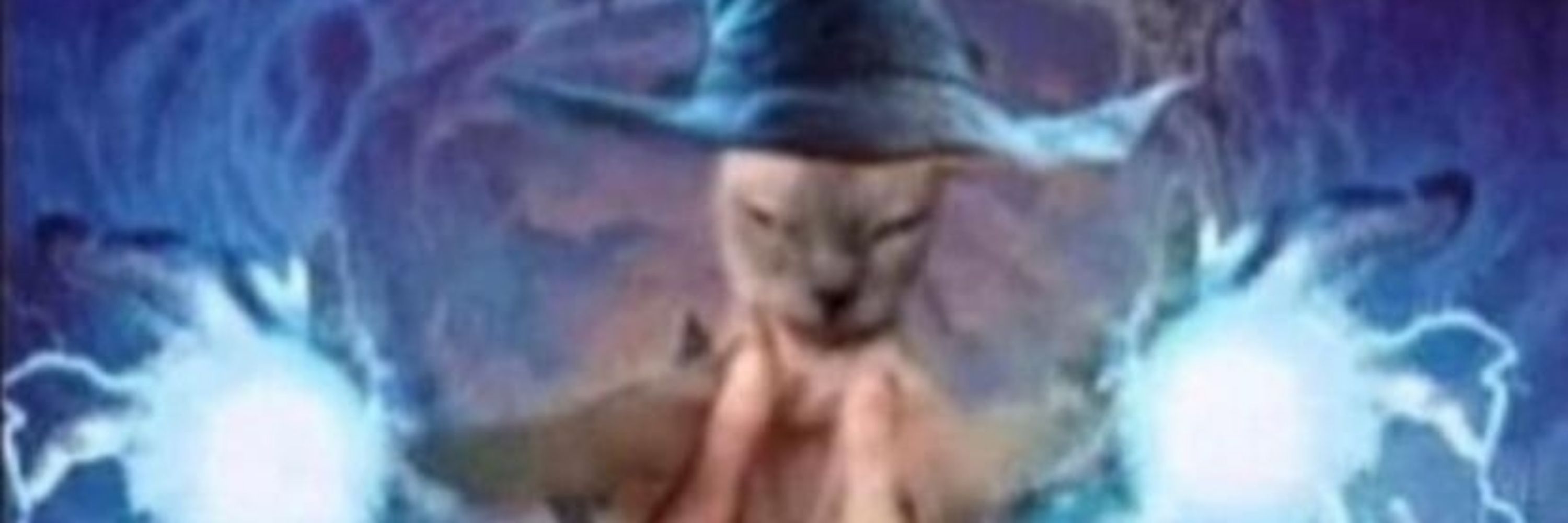 Good Knight Cat