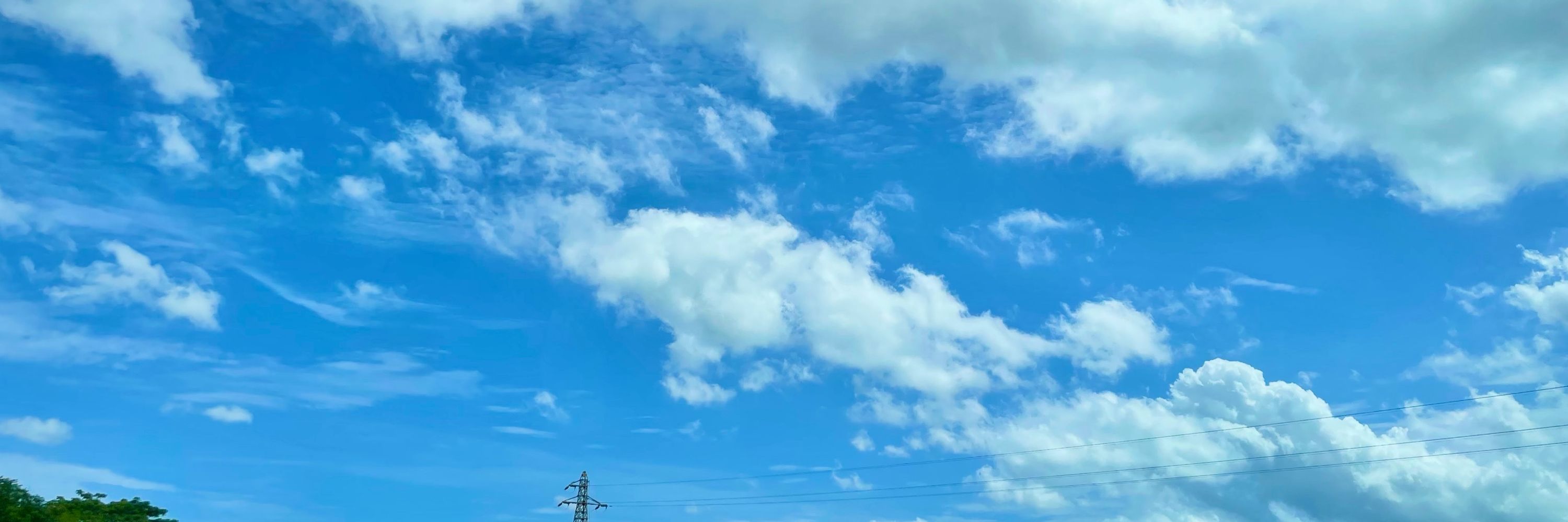 ミルクティーな置きミスの天才