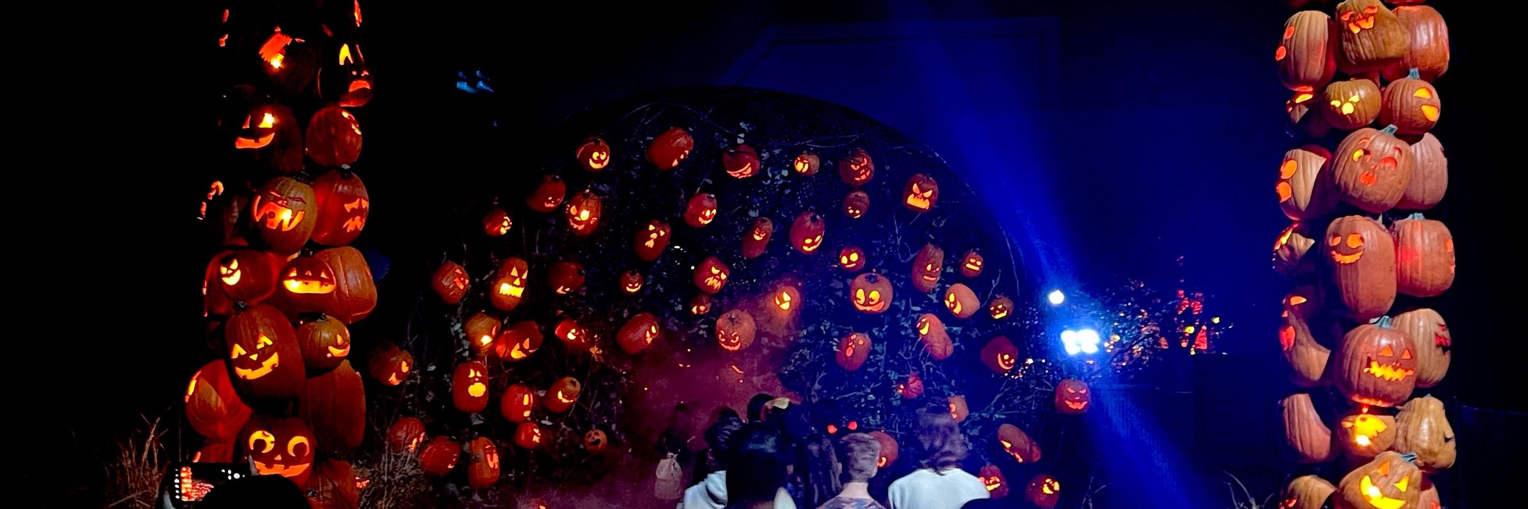 The HHN Obsession Podcast