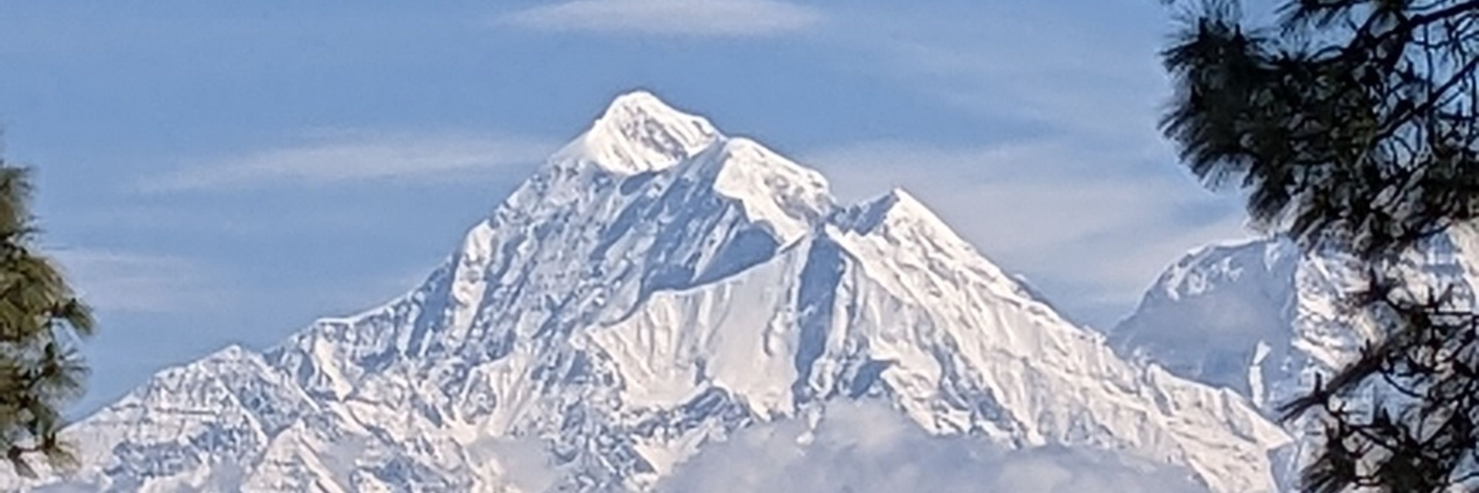 Abhradeep Maiti