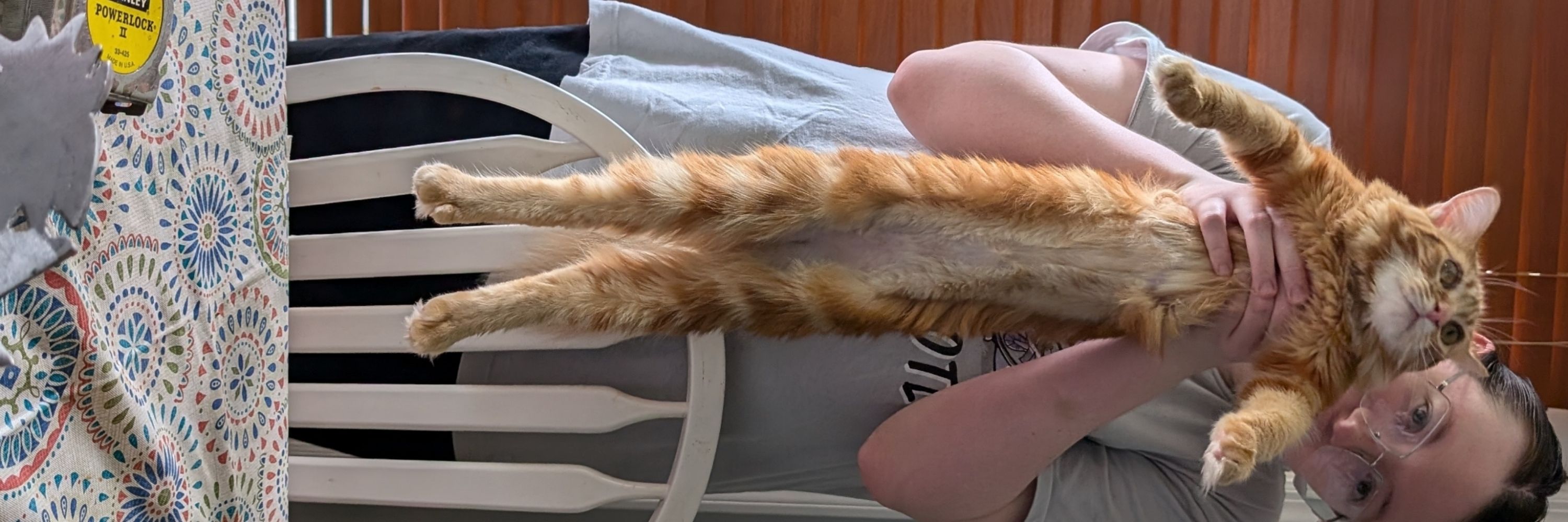 Maple's Story (Orange Cat)