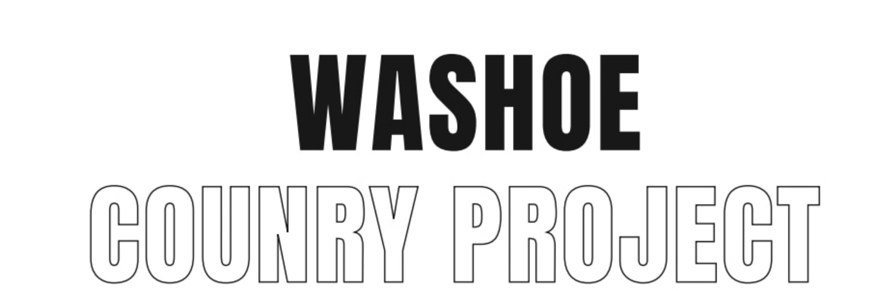 Washoe County Project