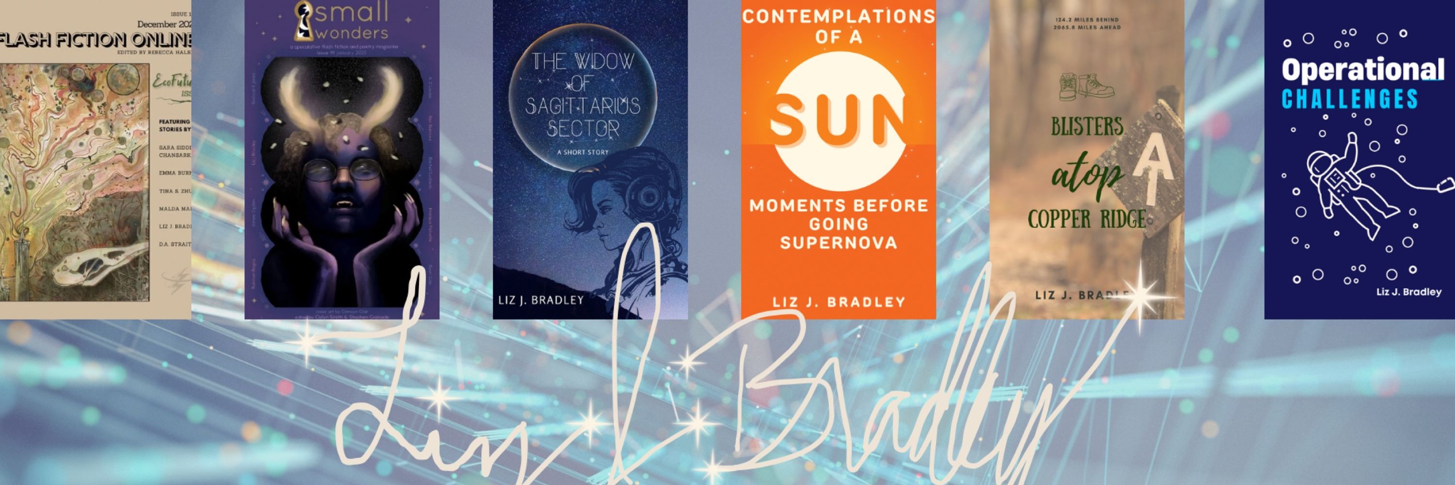 Liz J. Bradley🌠