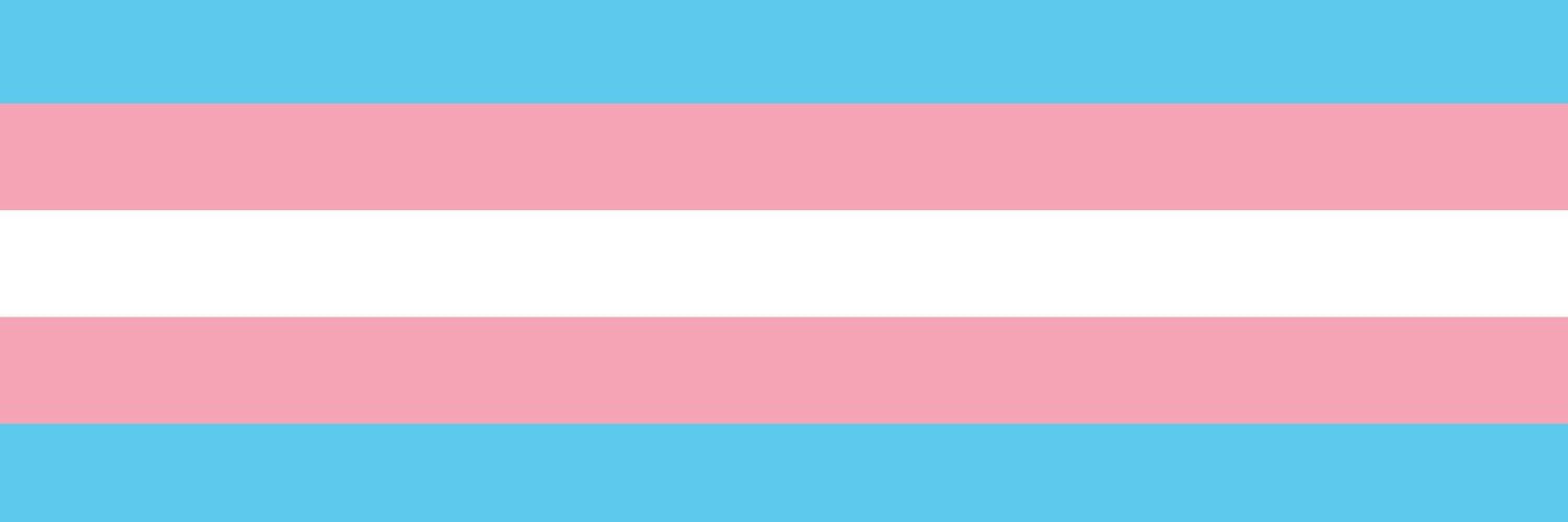 Egg irl bot 🏳️‍⚧️