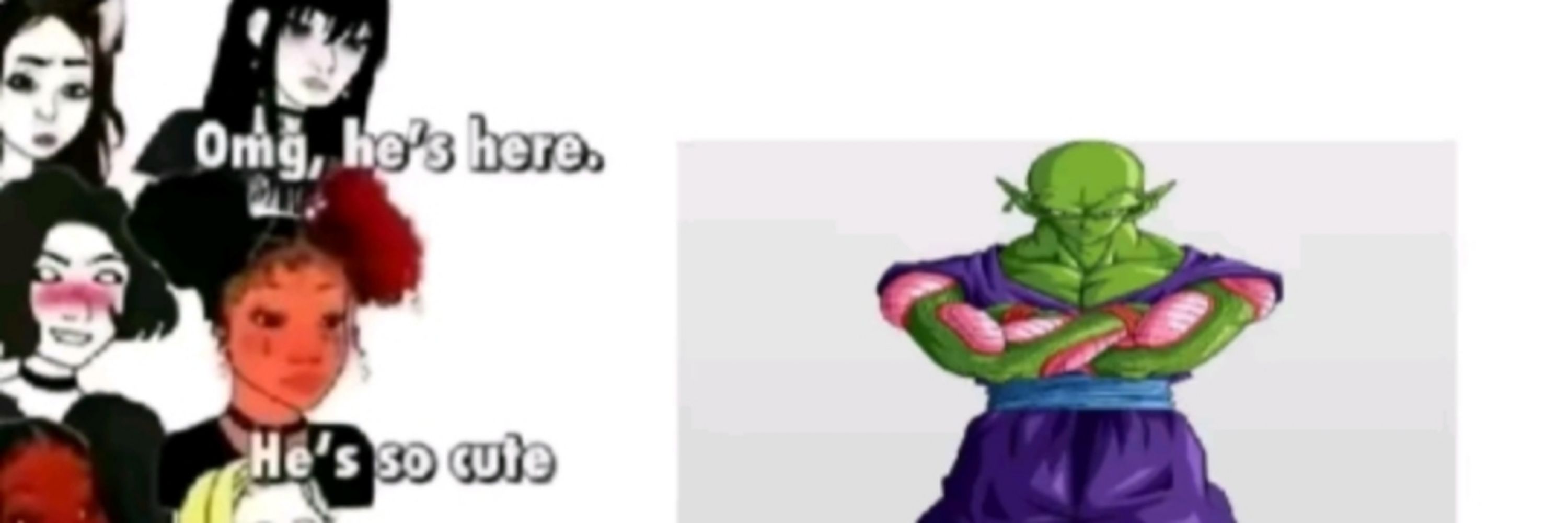 Piccolo Fan