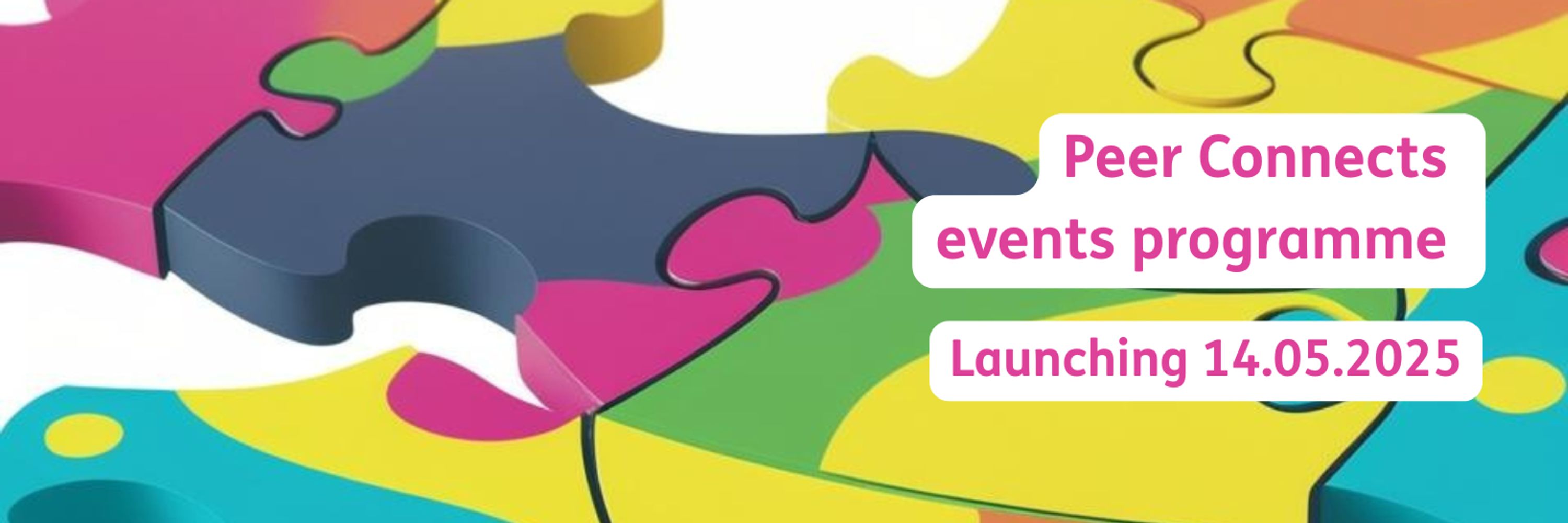 Scottish Recovery Network
