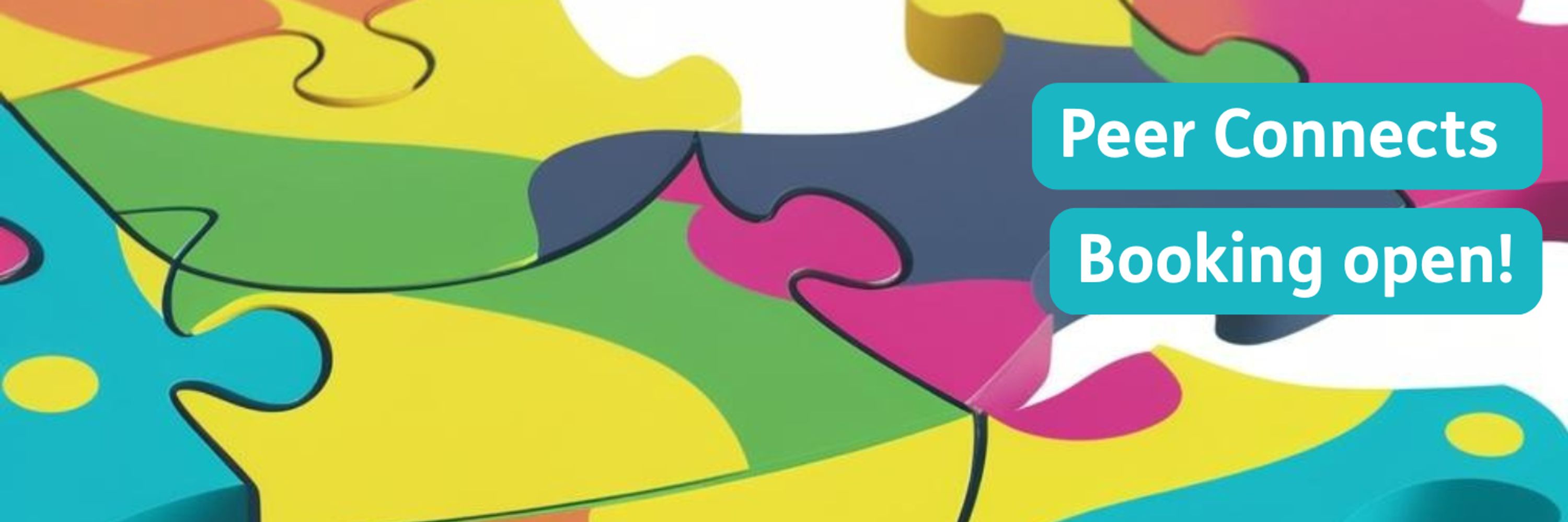 Scottish Recovery Network