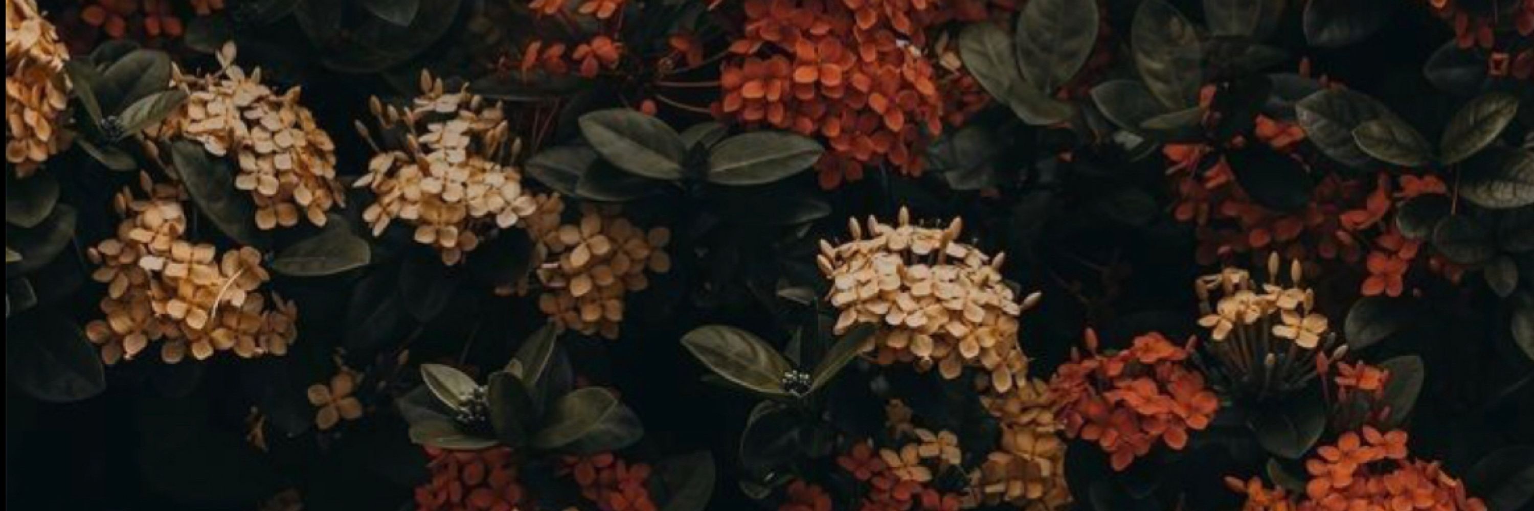 almonds