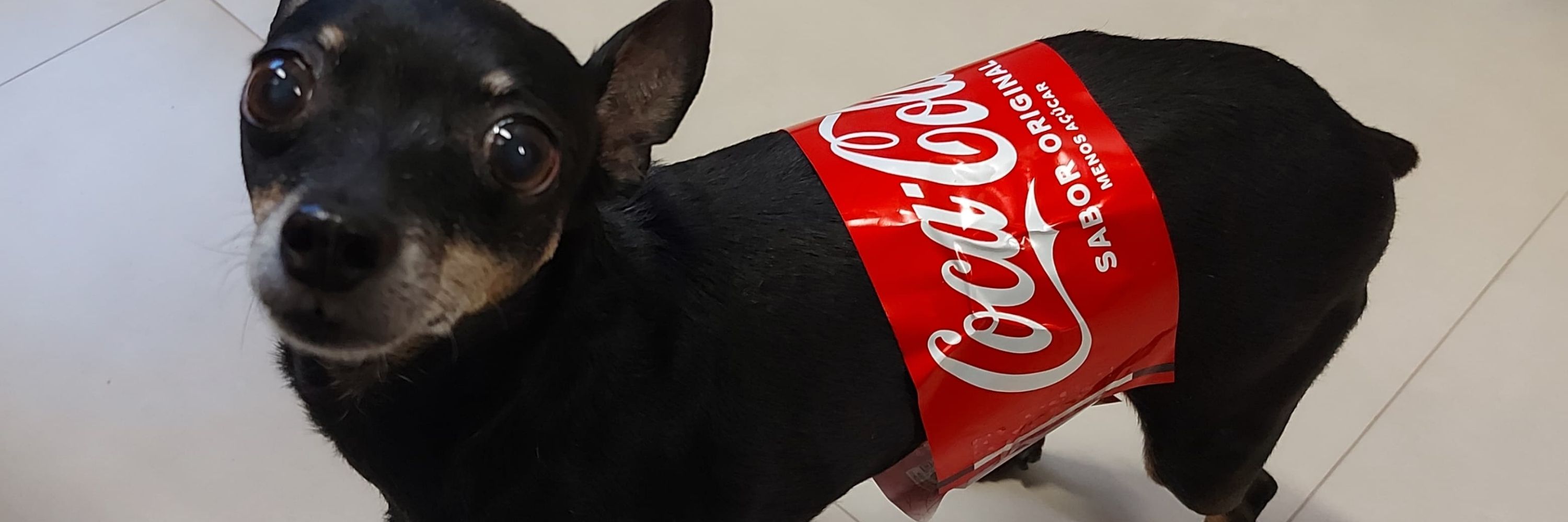 Felipeko