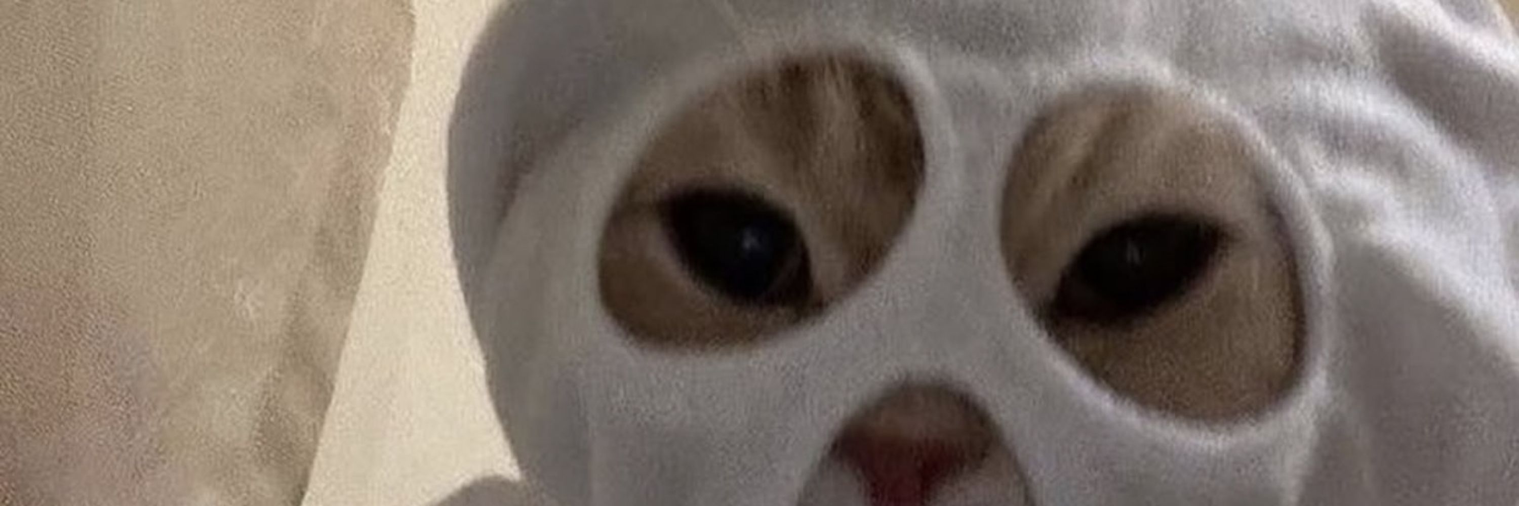 Ethernet