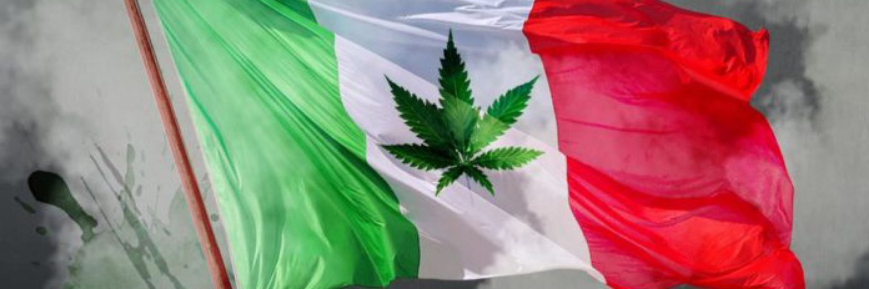 🇲🇽CANNABIS LEGAL EN MÉXICO🇲🇽