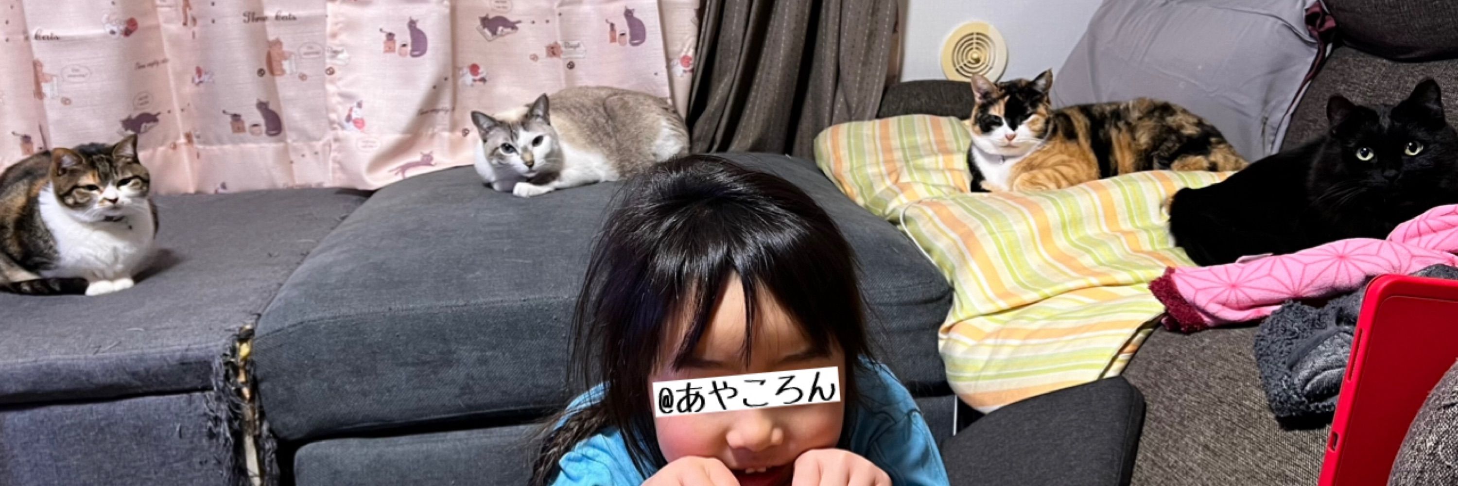 あやころん