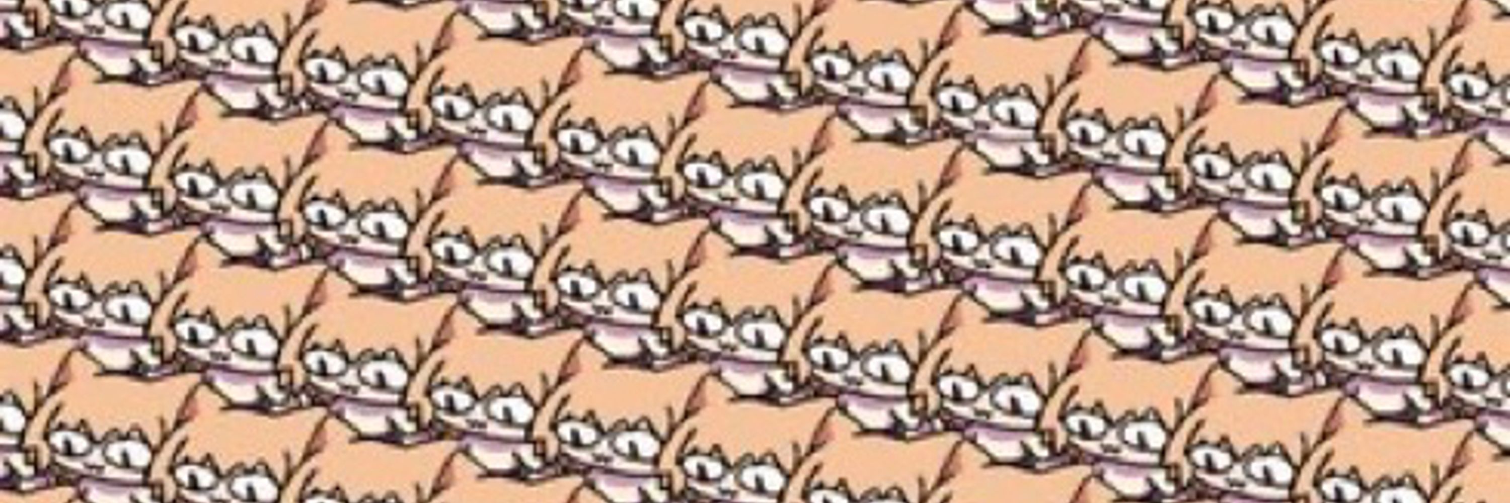 Funny cat ⓛωⓛ
