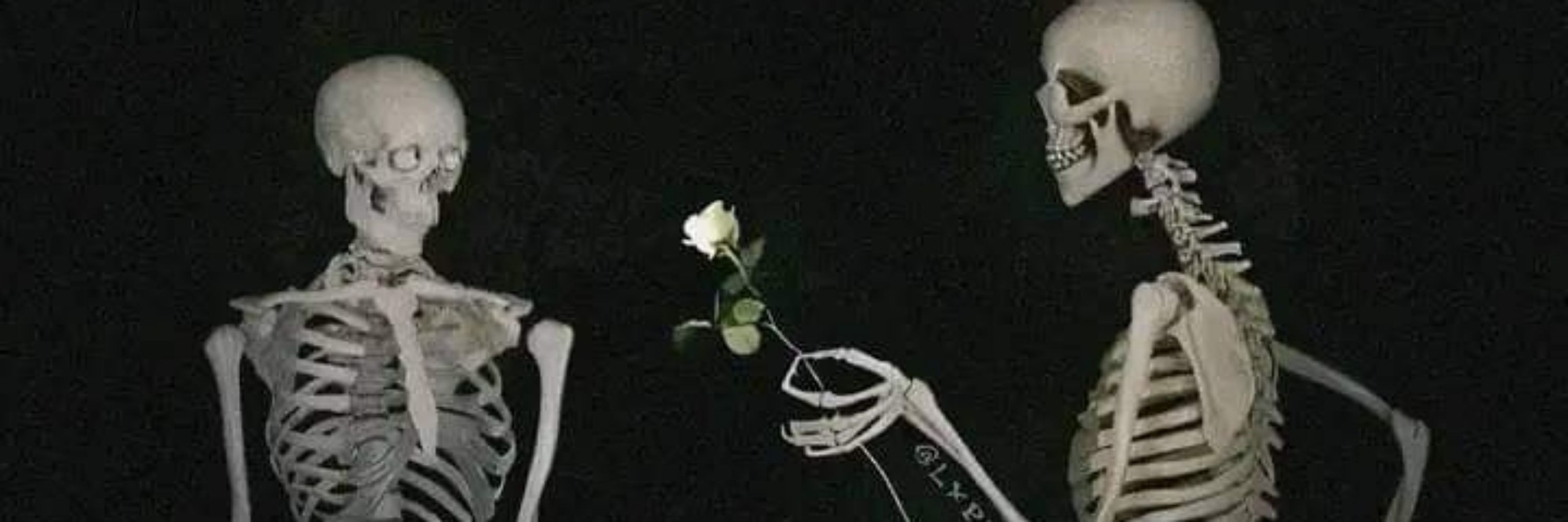 𝐿𝑦𝑛 ツ